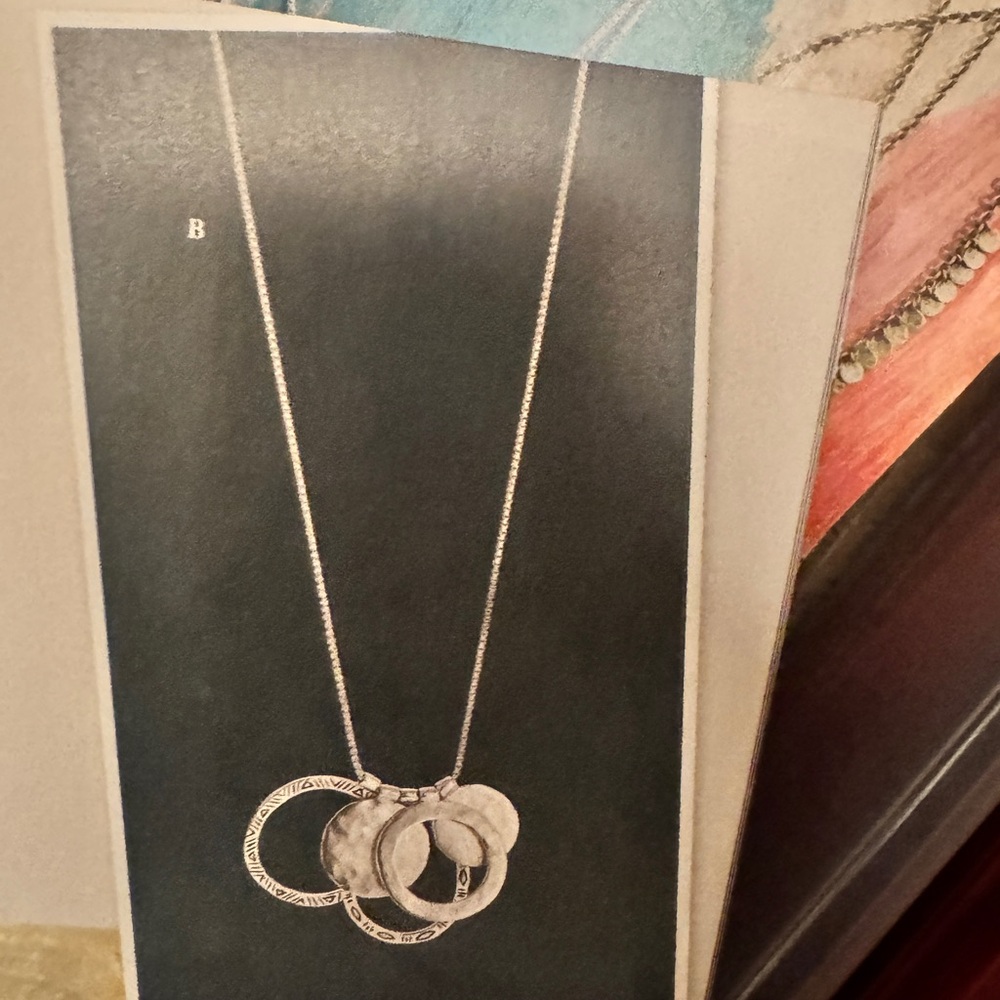 Elegant Silver Necklace with Interlocking Rings